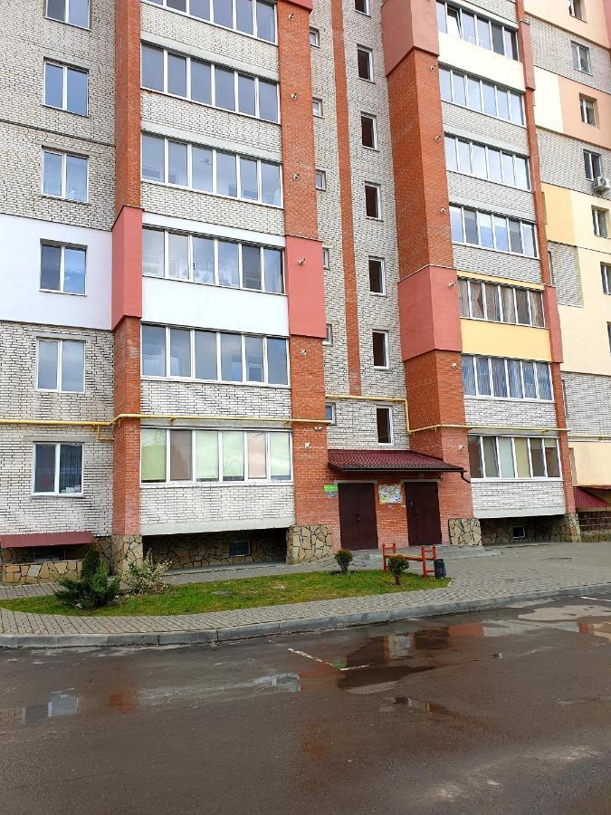 Apartment On Kravchuka, 11B Loetsk Buitenkant foto